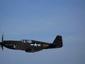 P-51A Polar bear comes to Young Eagles