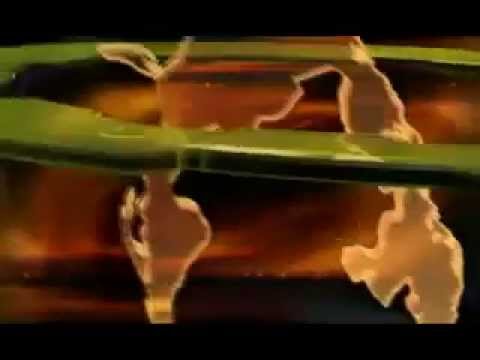 National Television of Tamileelam National Television of Tamileelam