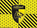 Concursos Hufflepuff