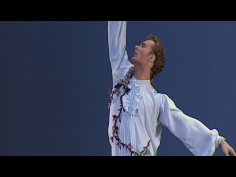 Ashton's Devil's Holiday Variation
