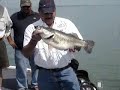 Lobina 10-4 Lbs. en el Cuchillo