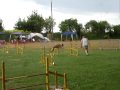 bantzenheim 17 05 09 GPF clelia agility