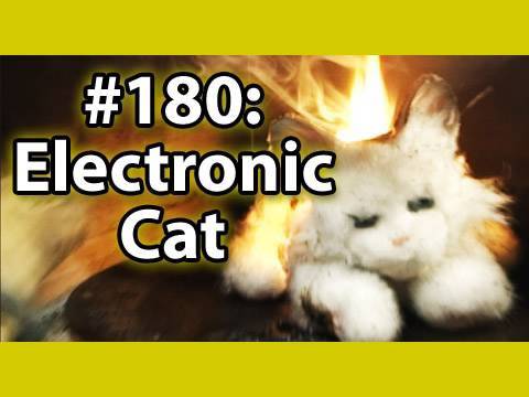 Is It A Good Idea To Microwave An Electronic Cat?
