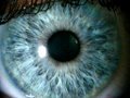 The Eye Trackers