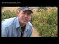 Backroads Wines - Bent Creek Winery and Cedar Mountain Coop