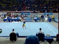 FX EF Sergio