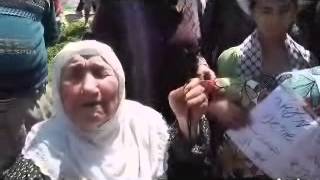 الحاجة نعمة تروي حقيقة قرية ميعار - גירושה מהכפר מיעאר