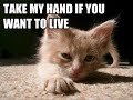 Amante 4 Prez - Take My Hand ft Sorrows Child Instrumental