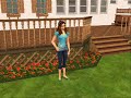 Online by Brad Paisley (sims 2 style)