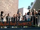 Flat-Roof-Singers DMD 24-07-08
