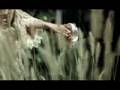 Taylor Swift - Love Story (Official Music Video) - CREDIT PROBLEMS? We can help. www.unitedcreditaid.com