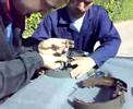 koylu mechanics