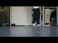 videos de C-Walk - 5 Months