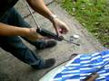 Shooting FWB 65 airgun