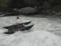 Gauley River - Weekend of Carnage
