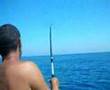 Il Pigna, il mare, e le Palamiti a gogo' . (Video)