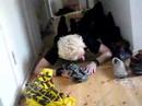 Simon being quite drunk