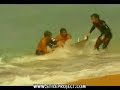 surfero atacado por un tiburon, y ahogado por su ola
