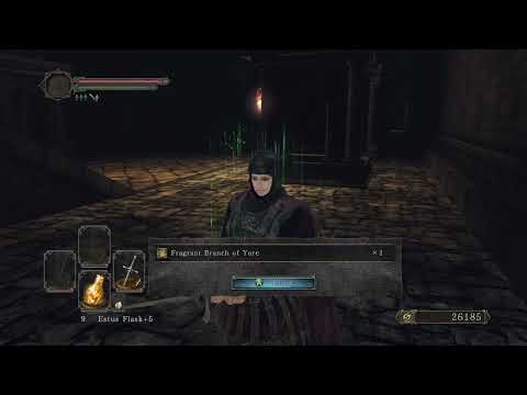Fragrant Branch of Yore at Undead Crypt, Dark Souls 2: SotFS