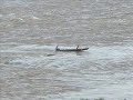 musica 
a barca (pescador de homens) se nao me engano quem esta cantando eh o padre antonio maria, vale a pena ouvir