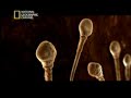 Vida No Ventre - Mam�feros 3 - NatGeo
