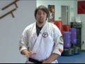 Jujutsu Throws & Chokes : How to Do a Jujutsu Hip Throw