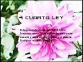 las cuatro leyes espirituales