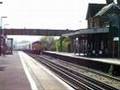 Two Tones & Steam Whistles