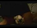 Roland Orzabal ( Tears for Fears) - Low Life
