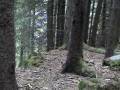 videos de Airsoft Genevois 10