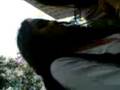 videos de youtubio na escola