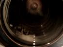 Miele WS 5405: Buntw�sche/Cottons 30�C