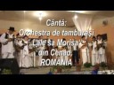 Orchestra de tambura?i ?Lale sa Mori?a\" din Cenad, Rom�nia