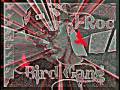 BIRDGANG FREESTYLE-6.WMV