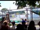 San Jose Grand Prix