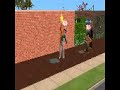 Jonas Brothers syncornized peeing in the sims 2