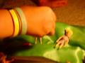videos de polly pockets