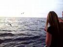 Emz and the seagulls