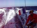 Downwind planing at 18Kts with dolphin sufing waves