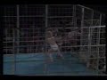 Wendi Richter vs Heidi Lee Morgan - Cage Match