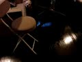 メインクーンとアメリカンコッカースパニエル