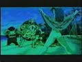 DBZ - Green Day Grouch