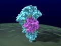 pcr.html