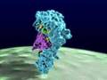 Molecular Structure Animation