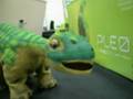 videos de Pleo vs. Rooks Pawn