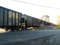 CSX mixed freight train