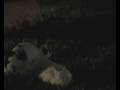 dog-mating-with-pikachu.html