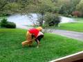videos de pooh bear VS boy