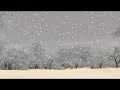 3DCG animation?????