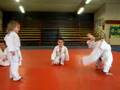 videos de baby judo